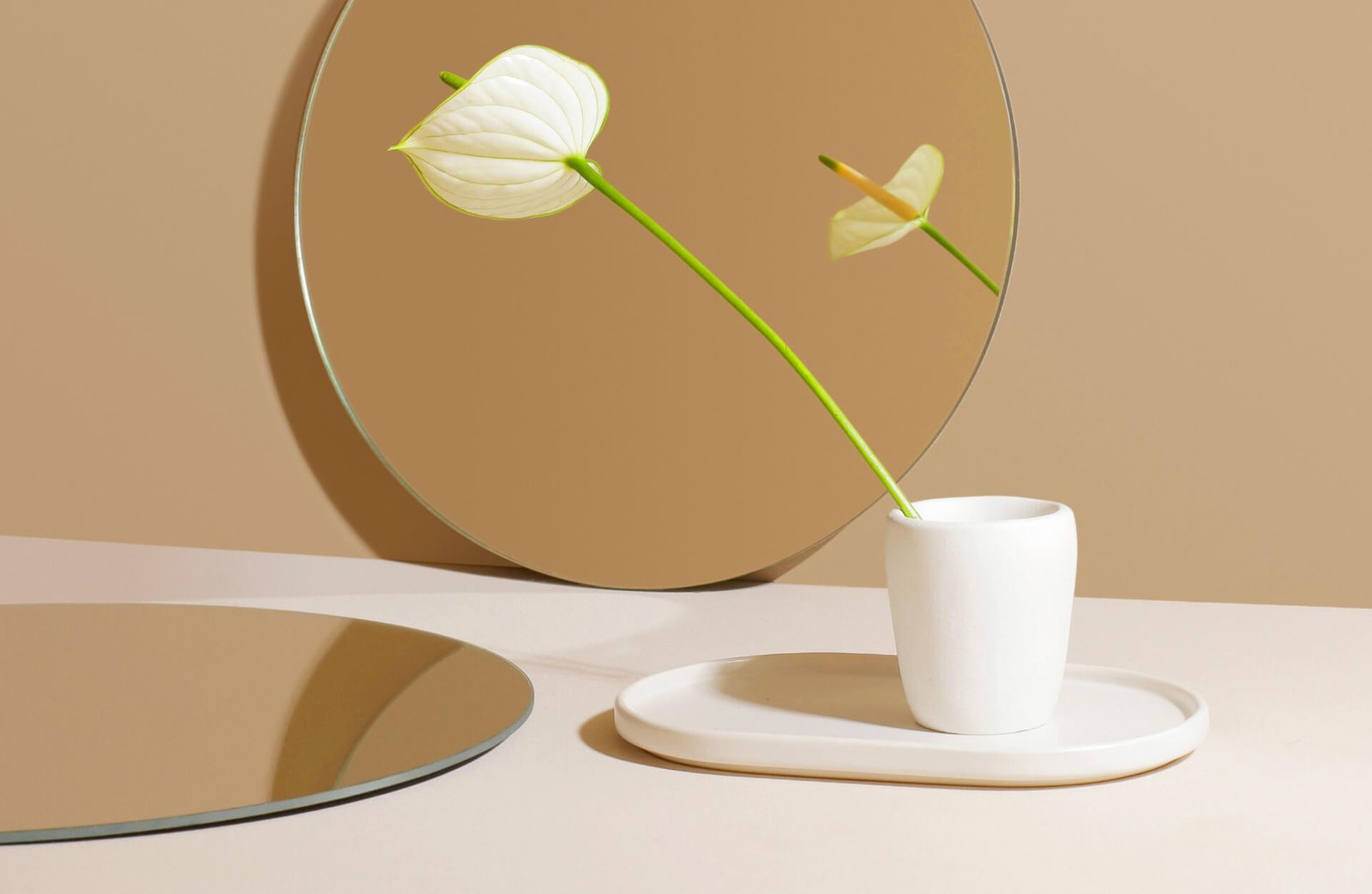 Rights Protection &amp; Support